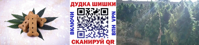 кракен как войти  Краснодар  Еда ТГК марихуана 