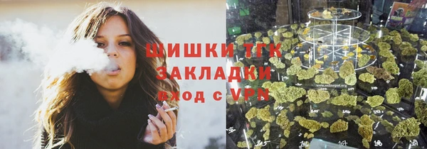 гашик Аркадак