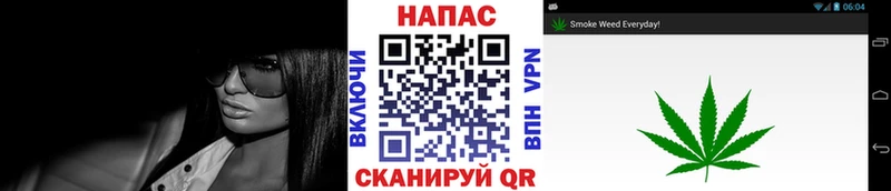Бошки марихуана OG Kush  Краснодар 